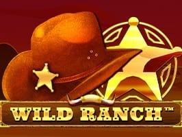 Wild Ranch screenshot